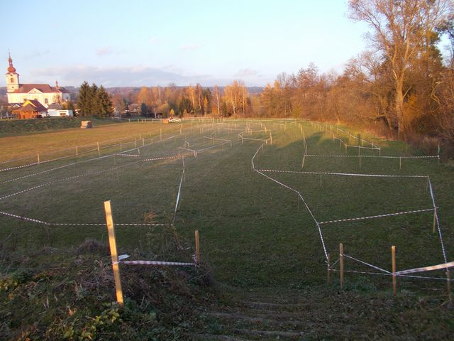 DSCN0595