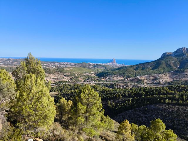 strava-10747592207-5
