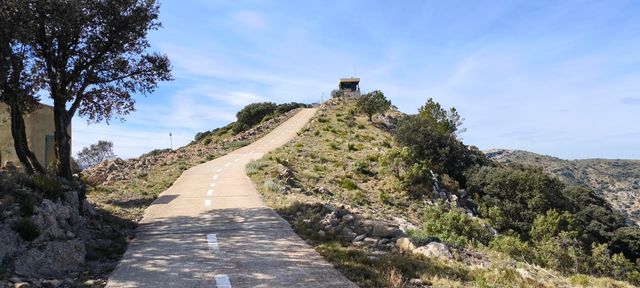 strava-10794472377-2