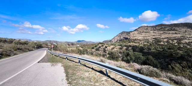 strava-12965859621-2