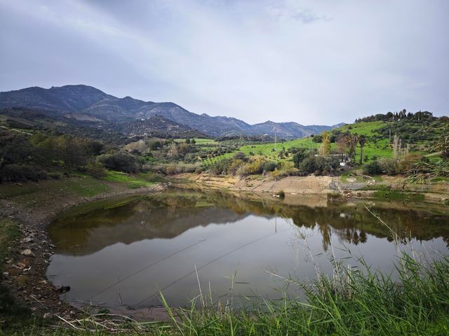strava-12973320190-1
