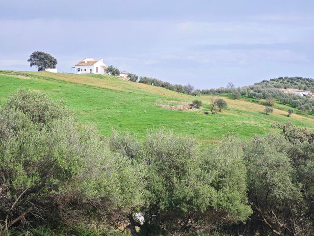 strava-12973320190-3