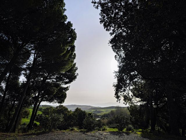 strava-12978124159-1