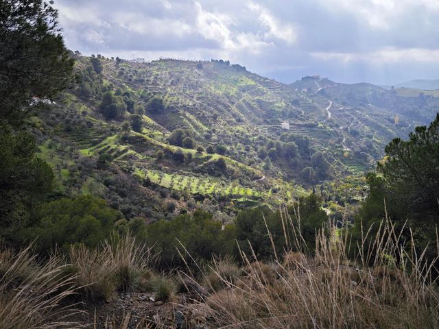 strava-12995413834-2