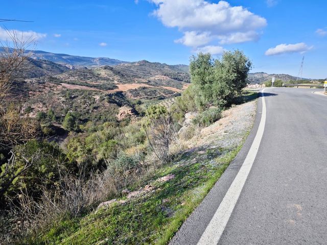 strava-12995413834-4