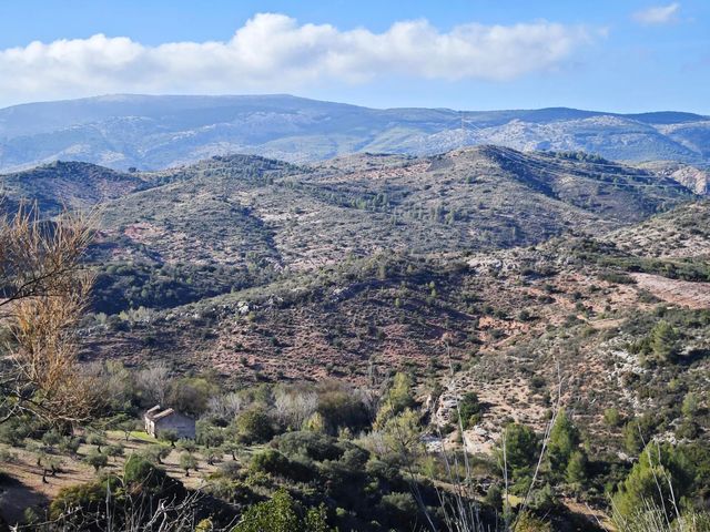 strava-12995413834-5