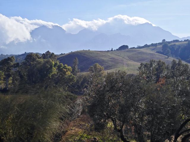 strava-12995413834-6