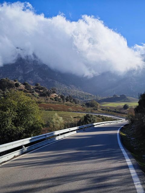 strava-12995413834-7