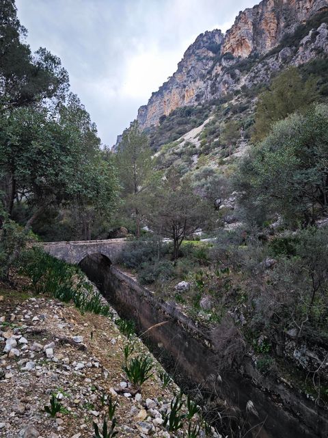 strava-13000547227-6