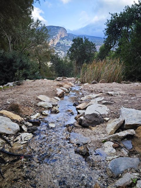 strava-13000547227-7