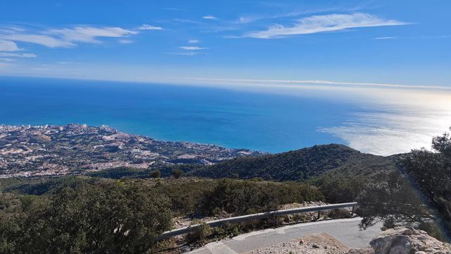 strava-16562736311-2