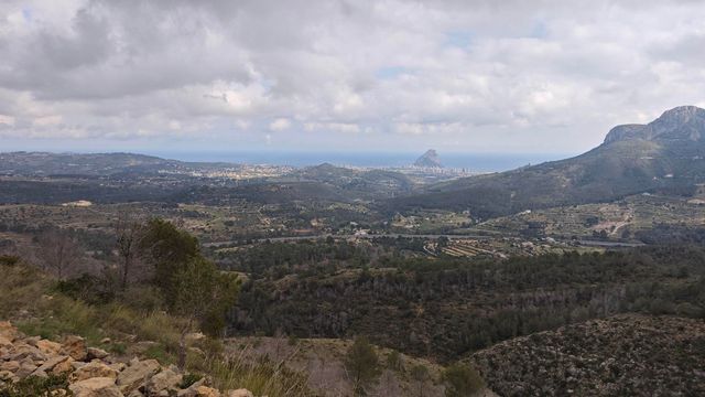 strava-17554164134-1