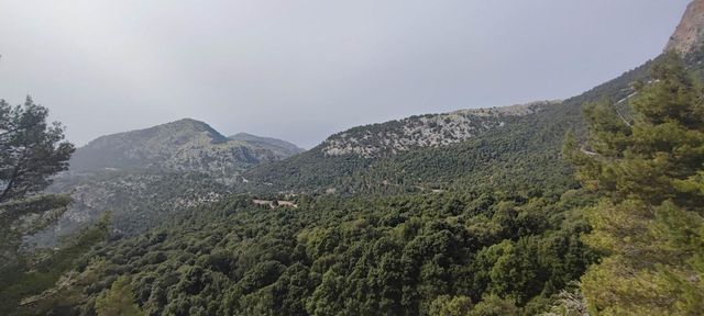 strava-6828597485-3