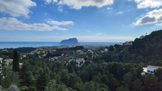 strava-8554728696-1