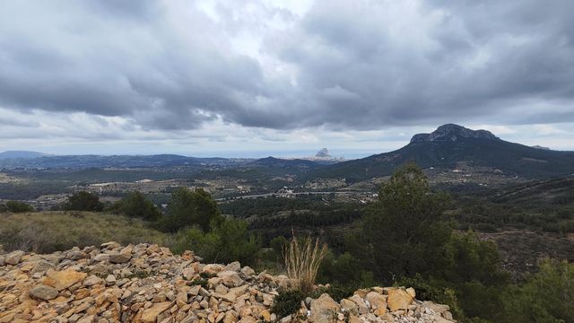 strava-8560091591-1